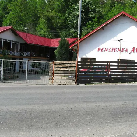 Pensiunea Amo